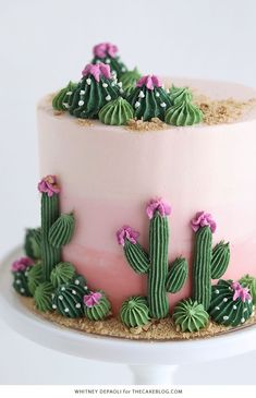 a cake decorated with pink and green frosting, cacti and succulents