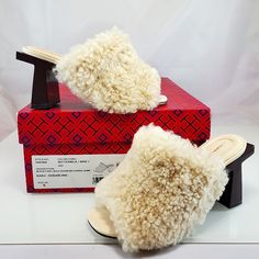 Nwt$398 Tory Burch Block T 80mm Heel Shearling Heeled Mules Sandals Shoe Sz 5 Retro Meets Modern In Our Block T Heel Mule. Plush Shearling Adds Rich Texture, While An Architectural Heel, Designed In The Shape Of A Double T, Draws Focus And Brings ’50s Design Elements Into The Present. An Effortless Silhouette With A Delicately Squared Toe, It Makes The Case For Dressing From The Ground Up. 3.54" (90mm) Heel Shearling Upper (New Zealand Kidskin, Dyed) Leather Lining Semi-Shine Calf Leather Sole M Luxury Cream Mules, Cream Block Heel Winter Heels, Cream Block Heel Shoes For Winter, Winter Cream Block Heel Shoes, Winter Cream Block Heel Heels, Cream Heels With Reinforced Heel For Winter, Tory Burch Mules, Tory Burch Sandal, 50s Design