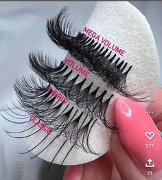 Lash Quotes, Beauty Entrepreneur, Cat Eye Lash