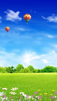 two hot air balloons flying in the sky over a green field with flowers and daisies