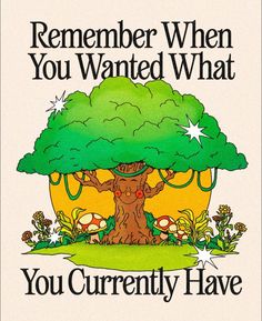 a book cover with an image of a tree and the words, you currently have