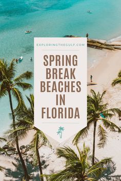 the beach with palm trees and people swimming in the water text reads spring break beaches in florida