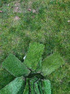 the top view of a green lawn with grass