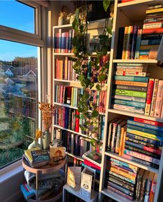 a bookshelf filled with lots of books next to a window covered in plants