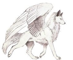 a drawing of a wolf with wings on it's back