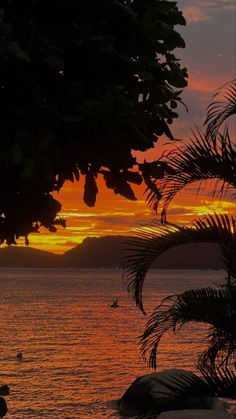 the sun is setting over the water and trees