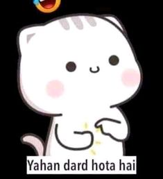 a cartoon cat with the caption yahan dard hota hai