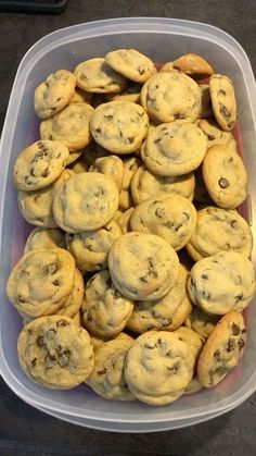 a plastic container filled with chocolate chip cookies