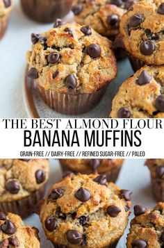 the best almond flour banana muffins with chocolate chips on top and in front