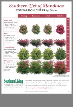 the southern living handmas comparison chart shows different types of trees and shrubs in various colors