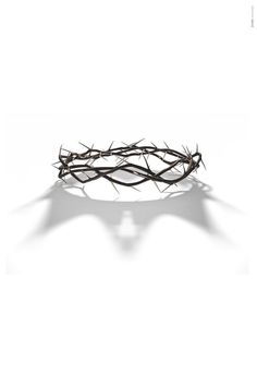 a crown of thorns on top of a white surface with the shadow of it