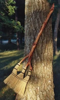 a broom stuck in the trunk of a tree