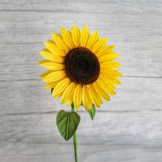 a yellow sunflower on a white wooden background