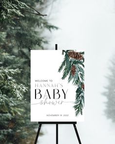 a welcome sign for a baby shower with pine cones and evergreen leaves on it in the snow