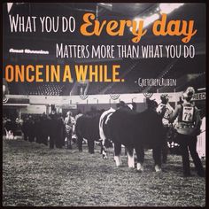 there are many cows in the field with a quote on it that says, what you do every day matters more than what you do