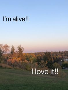 a field with trees and the words i'm alive above it