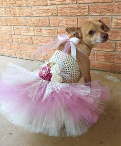 a small dog wearing a pink and white tutu with flowers on it's head