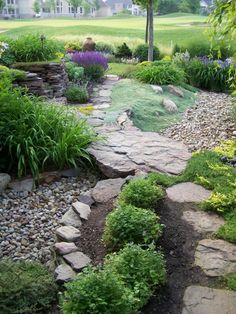 a garden with lots of rocks and plants in the center, along with some trees