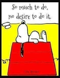 a cartoon dog laying down on top of a red rug with the caption so much to do, no desired to do it