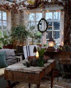 a living room filled with lots of furniture and plants on top of windowsills