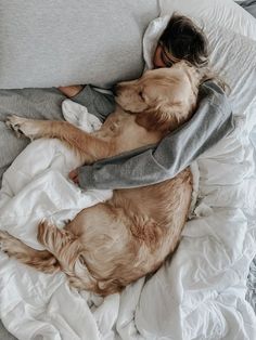 a person laying in bed with two dogs sleeping next to each other on top of blankets