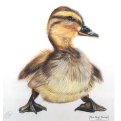 a drawing of a duckling sitting on the ground