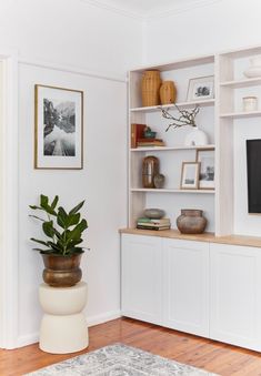 a living room filled with furniture and a plant