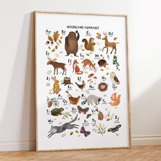 an animal alphabet poster on the wall in front of a white wall with wood flooring