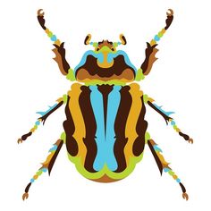 a colorful bug on a white background with blue, yellow and brown stripes in the center