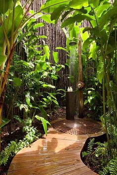 an outdoor shower in the middle of a tropical garden with trees and plants around it