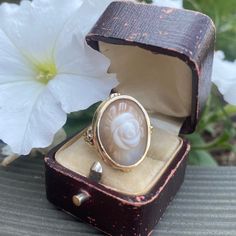 Display ring box not included 10k yellow gold Weight: 4.1 grams Dimensions: height 23 mm, width 19 mm, depth 21 mm Note: stamped 10k & PW^S Size 6 Can be sized by a reputable jeweler. We are new to Etsy, but our home store in Evansville, IN has been in business since 1898. We are a 5th generation family-owned business and have certificates in diamond grading from the GIA (Gemological Institute of America). All items listed in our shop are vintage or antique so imperfections can be expected but w Cameo 14k Gold Rings For Anniversary, Gold Cameo Signet Ring 14k, 14k Gold Cameo Rings For Anniversary, Yellow Gold Cameo Signet Ring As Gift, 14k Gold Cameo Signet Ring Gift, Statement Rings Diamond, Edwardian Style, Cameo Ring, Cute Box