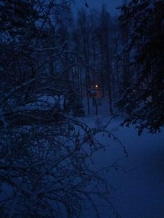 a snowy path in the woods at night with trees and street lights lite up