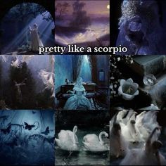 there are many different pictures with the words pretty like a scorpioo