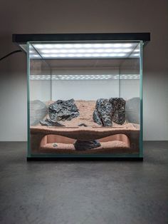 an aquarium with rocks in it and water on the bottom floor, under a light