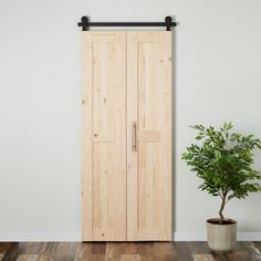 a potted plant sitting next to a wooden door in a room with white walls