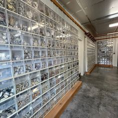 there is a large wall full of glass boxes on the floor and shelves with various items in them