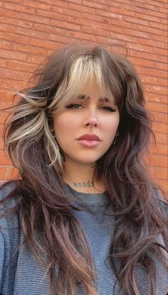 Black Hair Peekaboo, White Highlights On Black Hair, Brunette Balayage Hair Blonde, Long Shag Cut, Birthday Wig Hairstyles, Peekaboo Hair Color, Highlights Brunette, Highlights Silver