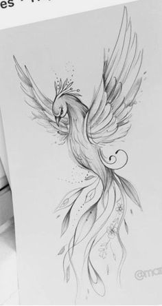 a drawing of a bird with wings on it's back, and the words love is