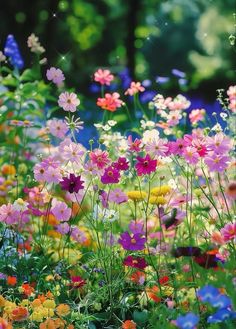 many colorful flowers are growing in the grass