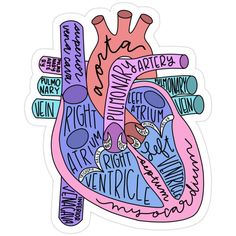 a sticker with an image of the human heart in different colors and words on it