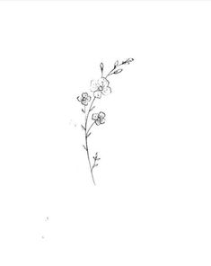 a black and white drawing of flowers on a white background