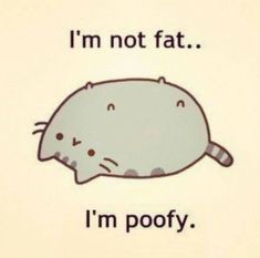 Pour water on him and we'll see how much of that is actual poof and what is fat. (via Bits And Pieces) Pusheen, A Cartoon, Funny