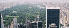 an aerial view of the city skyline with trees in the foreground and water in the background