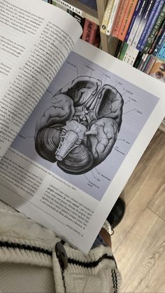 an open book showing the human brain in front of bookshelves