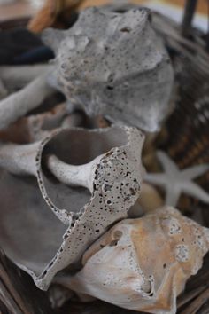 an old pair of shoes sitting on top of a basket filled with sand and seashells