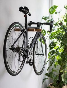 a bike hanging on the wall next to a potted plant