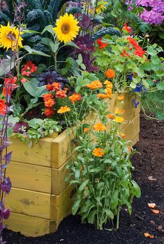 a garden filled with lots of different types of flowers