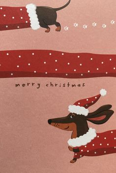 a christmas card with a dachshund dog wearing a santa hat and scarf