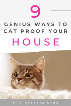 a cat peeking out from behind the text that reads, 9 genius ways to cater proof your house