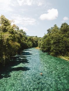 a man swimming in the middle of a river surrounded by green trees and blue water